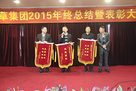 2015年芳心草集团表彰大会