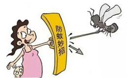 成都蚊类防治有妙招
