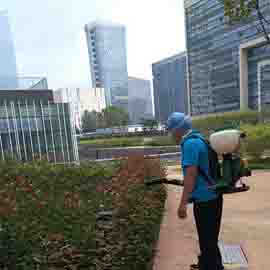 其他的城市区域虫害鼠害防治方案