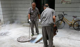 成都社区蟑螂虫害防治技巧