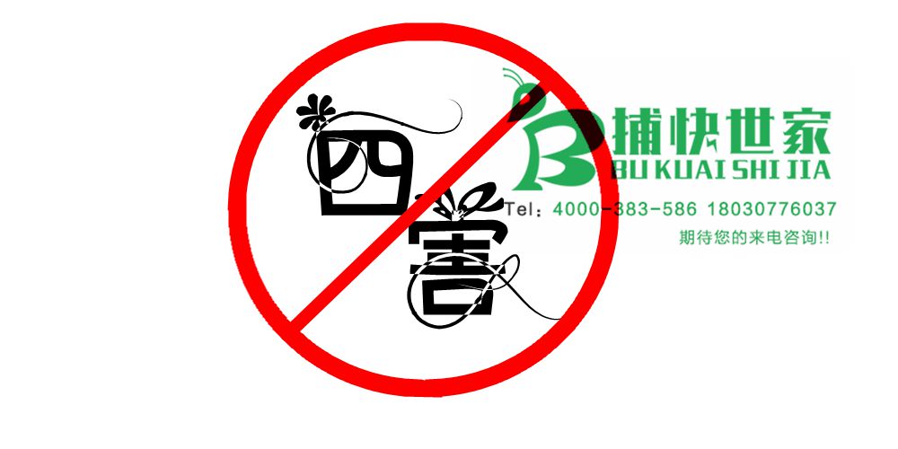 成都杀虫灭鼠工作流程