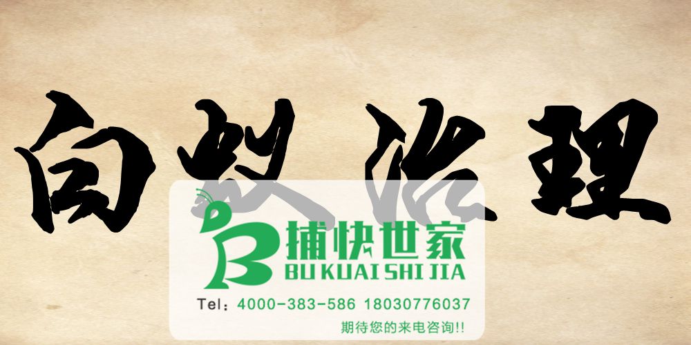 成都高新区专业的白蚁防治公司
