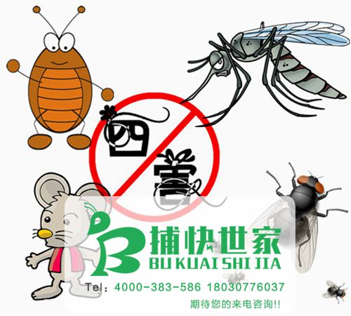 成都青羊区商场杀虫灭鼠方法