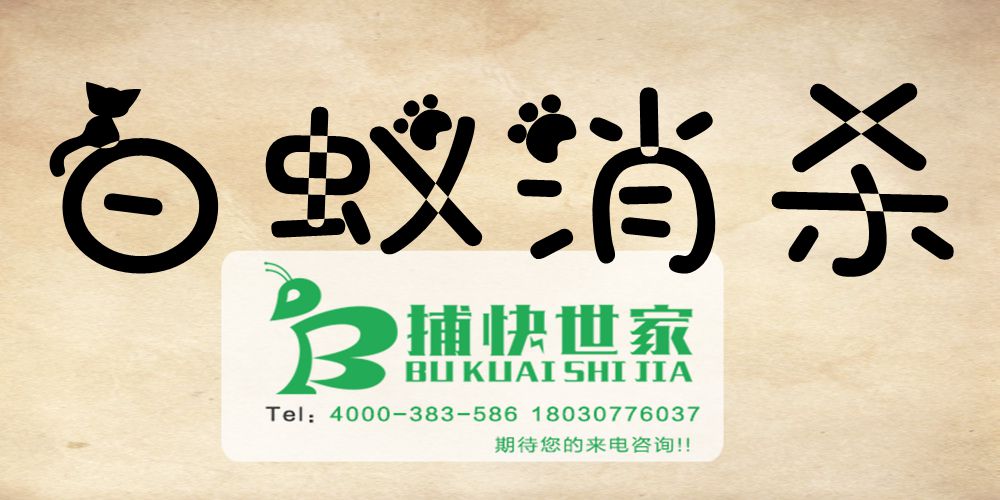 成都郫县白蚁的防治方案