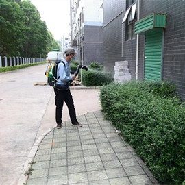 成都学校杀虫灭鼠公司方案
