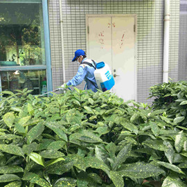 成都小区杀虫灭鼠的防治方法