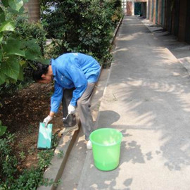 成都物业杀虫灭鼠夏季方案推荐
