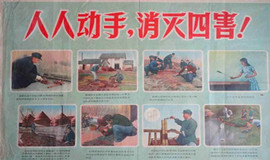 成都温江区学校杀虫灭鼠方案