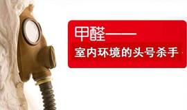 娱乐场所除甲醛专业方案 成都捕快世家