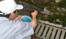如何选择杀虫灭鼠公司最正确?