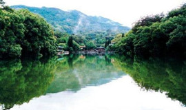 夏季景区灭蚊的方法及注意事项