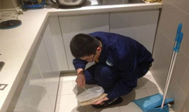 成都虫害防治公司告诉你家庭灭鼠最佳方法