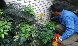 校园虫害问题怎么解决？成都除虫公司来教你