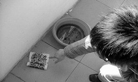 杀虫公司分享工厂怎么灭苍蝇最有效
