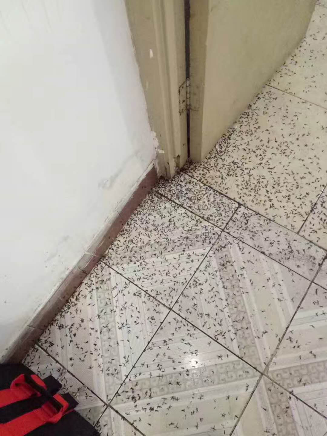 成都企事业单位虫害管理案例