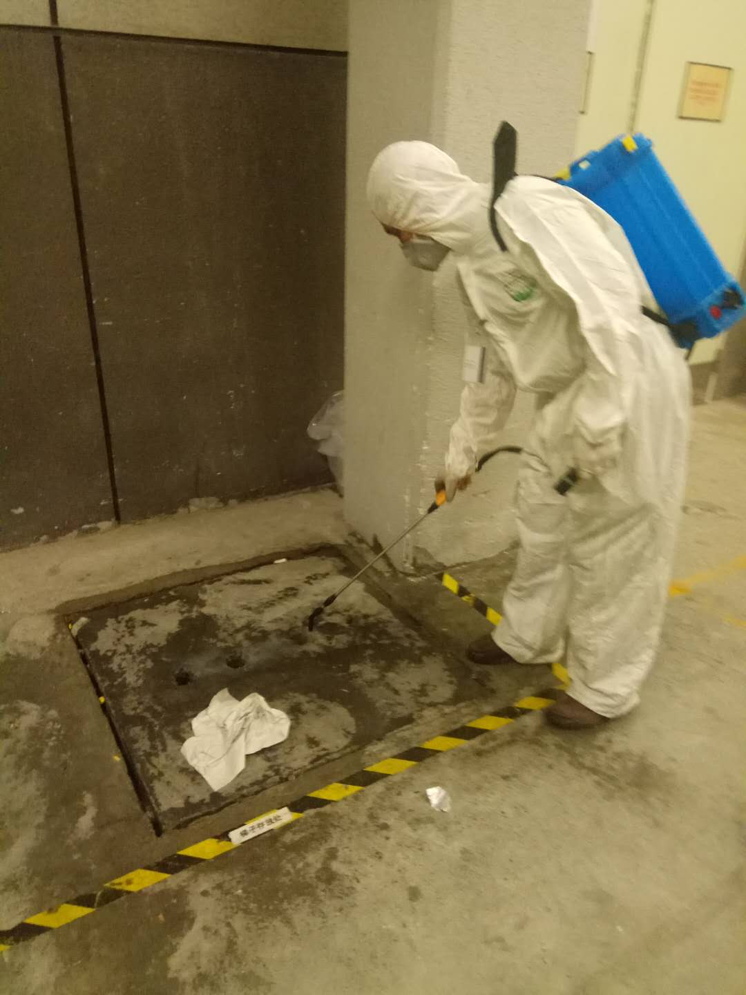 成都学校鼠患灭虫消杀案例