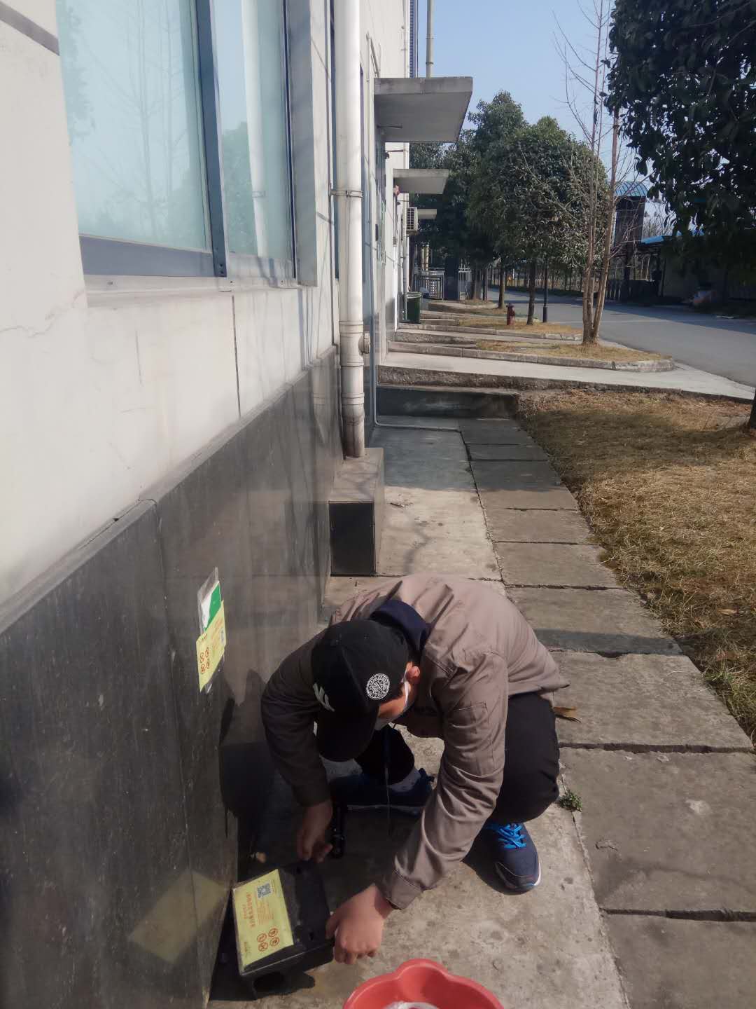 成都专业鼠害净化案例