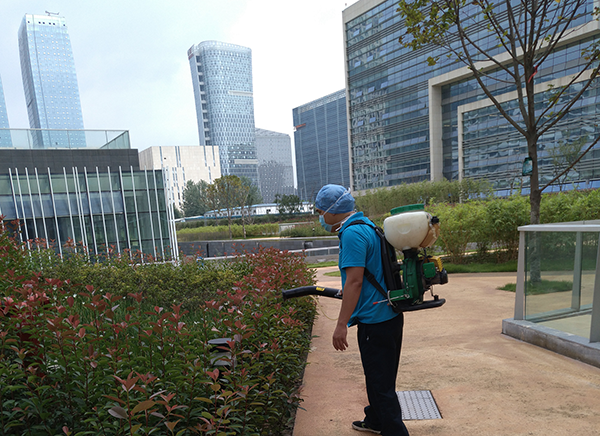 其他的城市区域虫害鼠害防治方案-成都虫害管理公司