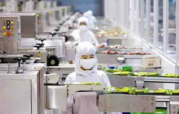 成都食品行业鼠害防治-灭鼠方案