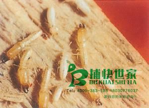 未命名_副本.jpg