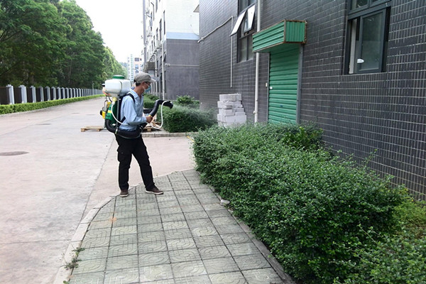 成都学校杀虫灭鼠公司方案