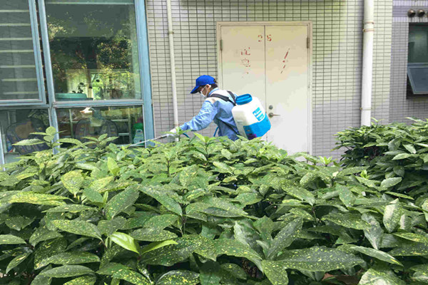 成都小区杀虫灭鼠的防治方法