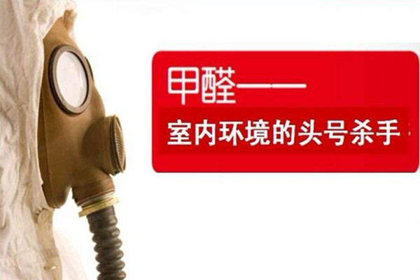 娱乐场所除甲醛专业方案 成都捕快世家
