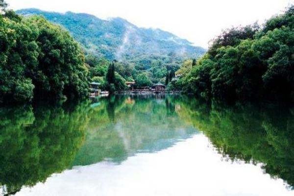 夏季景区灭蚊的方法及注意事项