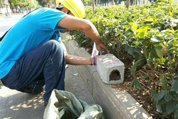 成都虫害防治公司告诉你除四害的意义和方法