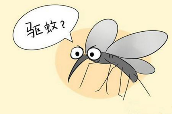 杀虫公司分享夏日驱蚊小妙招快速灭蚊