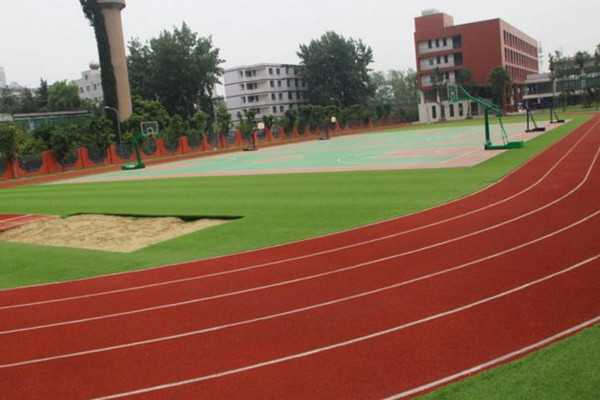 灭鼠公司分享学校灭鼠最佳方案