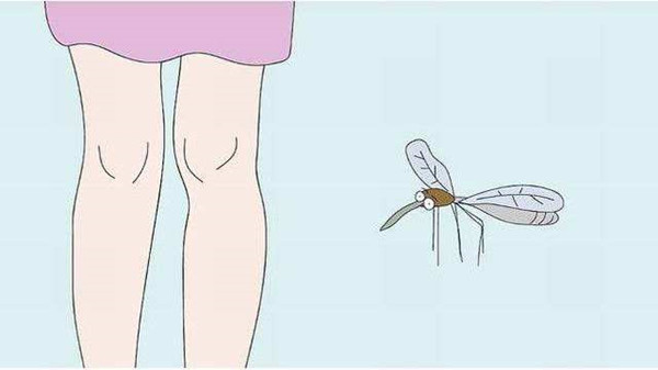 被蚊子咬了怎么消肿止痒最快