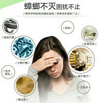 成都杀蟑螂公司